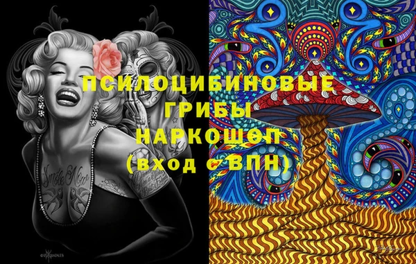 спиды Горнозаводск