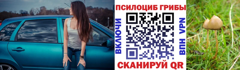 Купить закладки  Нерехта  Псилоцибиновые грибы MAGIC MUSHROOMS 